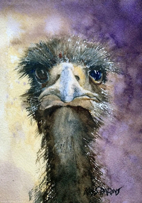 Emu Bird